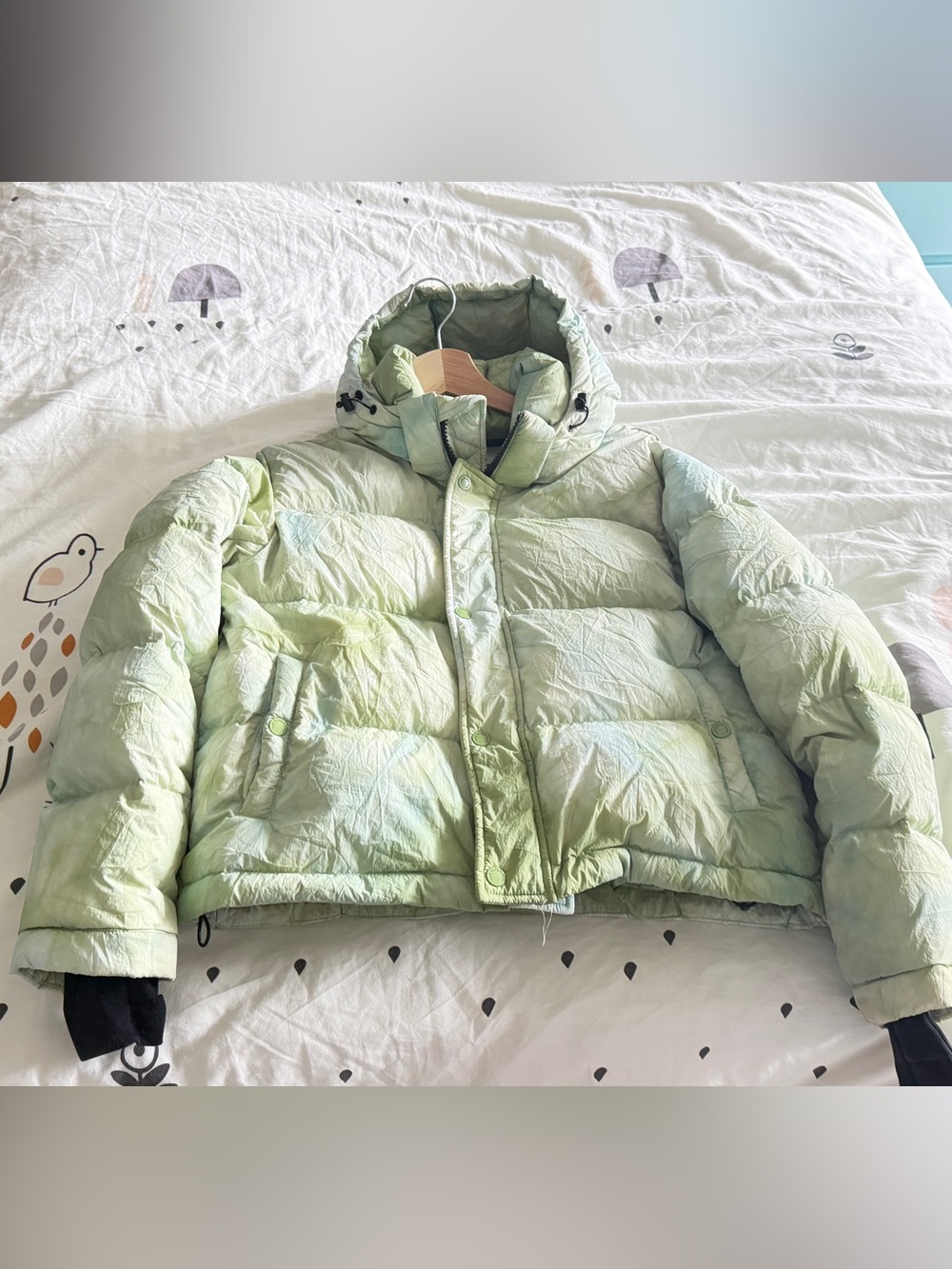 Aritzia Super Puff Shorty